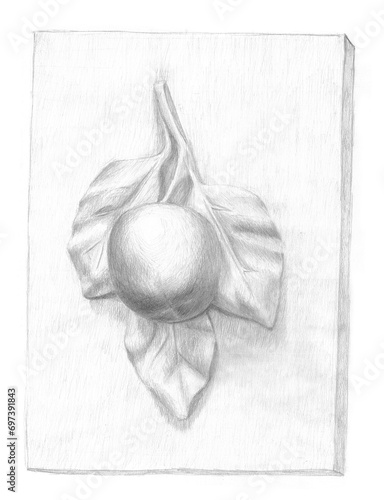 Pencil drawing gypsum apple on the piece of wall (ID: 697391843)