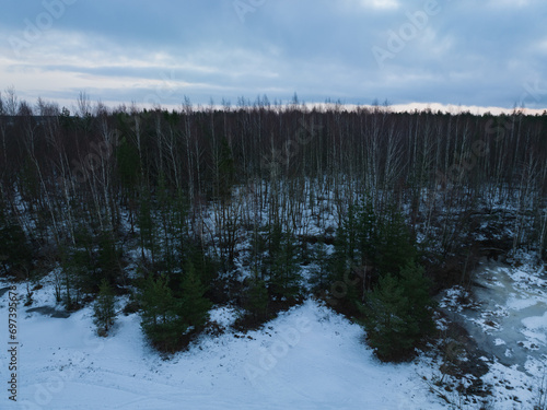 Baltic nature, forest on the shore of a lake on a winter morning. Drone photo.