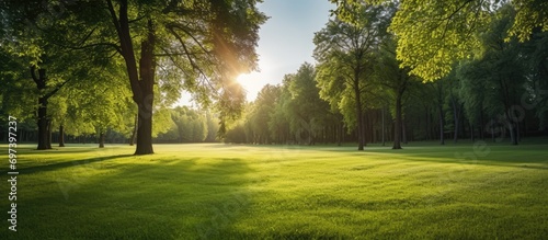 Morning sunbeam at natural park, fairway with green grass and trees. photo