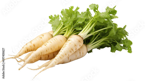 Parsnip lies isolated on transparent background.