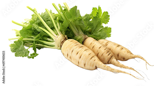 Parsnip lies isolated on transparent background.