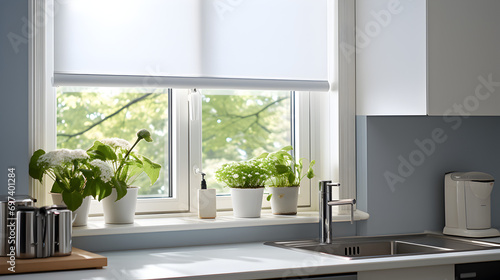 Modern Kitchen Living with Window Shades and Bliands and Plants © Gary