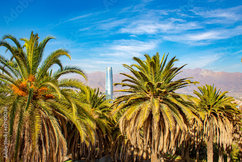 palmeiras e um prédio visto do  Cerro San Cristóbal Santiago Chile photo