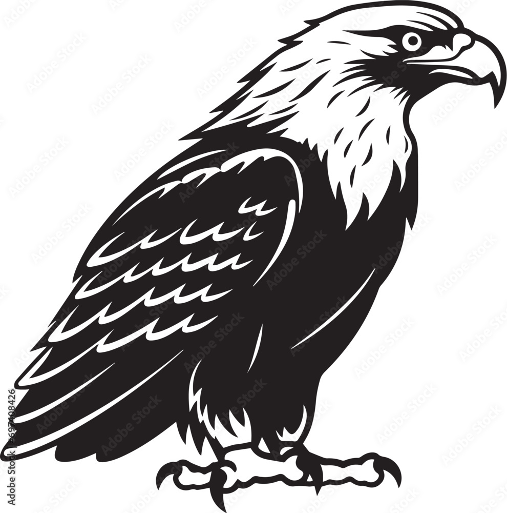 Eagle silhouette vector illustration. Eagle silhouette, Icon and Sign.