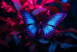 Neon butterfly photography