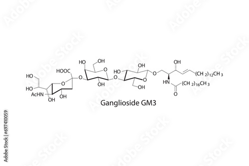 Molecular structure diagram of Ganglioside GM3 - monosialodihexosylganglioside white Scientific vector illustration. photo