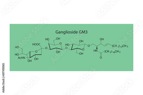Molecular structure diagram of Ganglioside GM3 - monosialodihexosylganglioside green Scientific vector illustration.