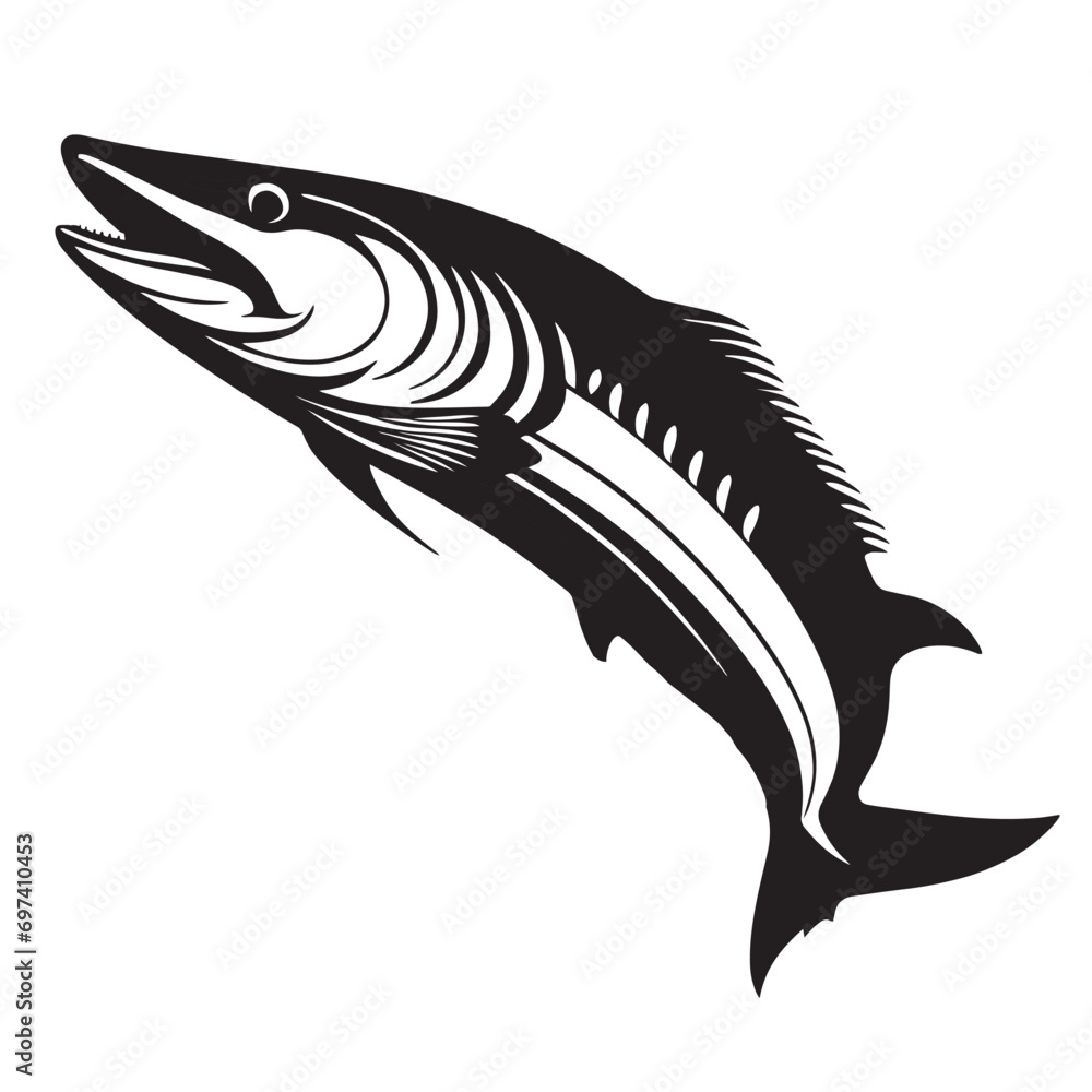 Barracuda silhouettes and icons. black flat color simple elegant white background Barracuda animal vector and illustration. Barracuda silhouettes and icons. black flat color simple elegant white background Barracuda animal vector and illustration.