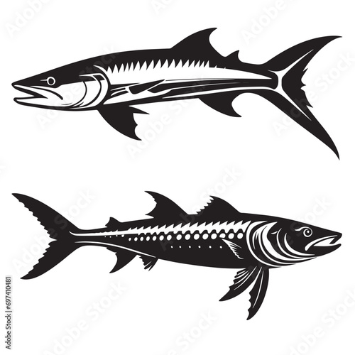 Barracuda silhouettes and icons. black flat color simple elegant white background Barracuda animal vector and illustration.