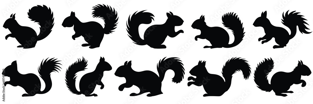 Squirrel silhouettes set, large pack of vector silhouette design, isolated white background