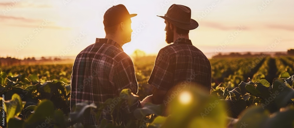 Analyzing a successful soybean field, two partners intently discuss, feeling proud and determined. - obrazy, fototapety, plakaty 