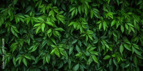 Green Lush Foliage Create Beautiful Texture Background  Natural Forest Greenery Pattern