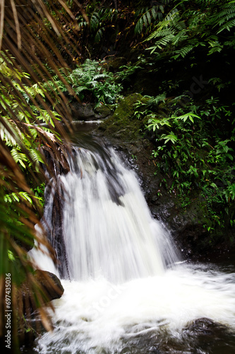 Small Waterfall Surrounded By Green Plants Hawaii © jeffwqc