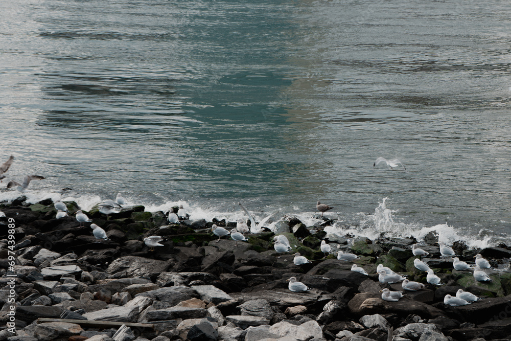 Obraz premium City Views