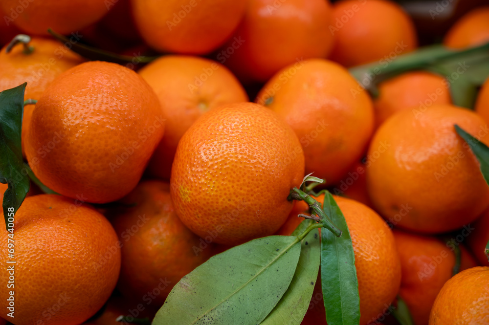 Fresh ripe organic Spanish mandarins citrus fruits on market close up Fresh ripe organic Spanish mandarins citrus fruits on market close up