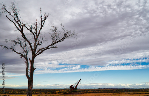 Morning Landscape with Tree and Clouds in Outback Australia