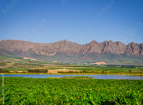 Winterhoek Mountain and vine growing on rolling hills along the lake  Tulbagh  Western Cape  South Africa