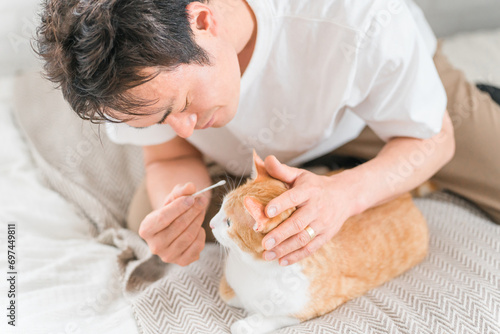 家のベッドで猫の耳そうじをする飼い主の男性（外耳炎・耳ダニ・マラセチア）
 photo