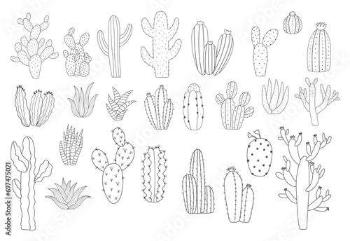Collection of line art wild cactus vector illustration for coloring book, coloring page