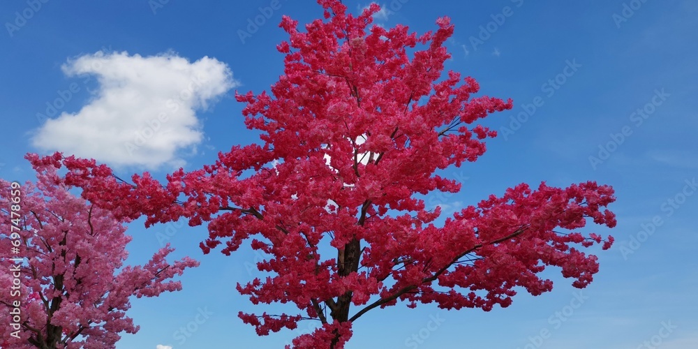 Artificial pink cherry blossoms decorated in bushes on the trees. Artificial pink cherry blossoms decorated in bushes on the trees.