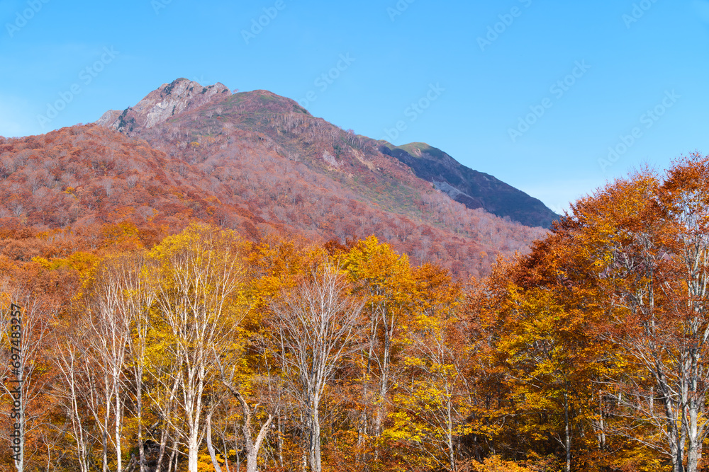 Fototapeta premium 雨飾山の青空
