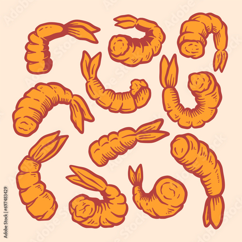 Hand-drawn shrimps vector illustrations