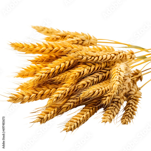 wheat ears isolated on transparent background Generative AI
