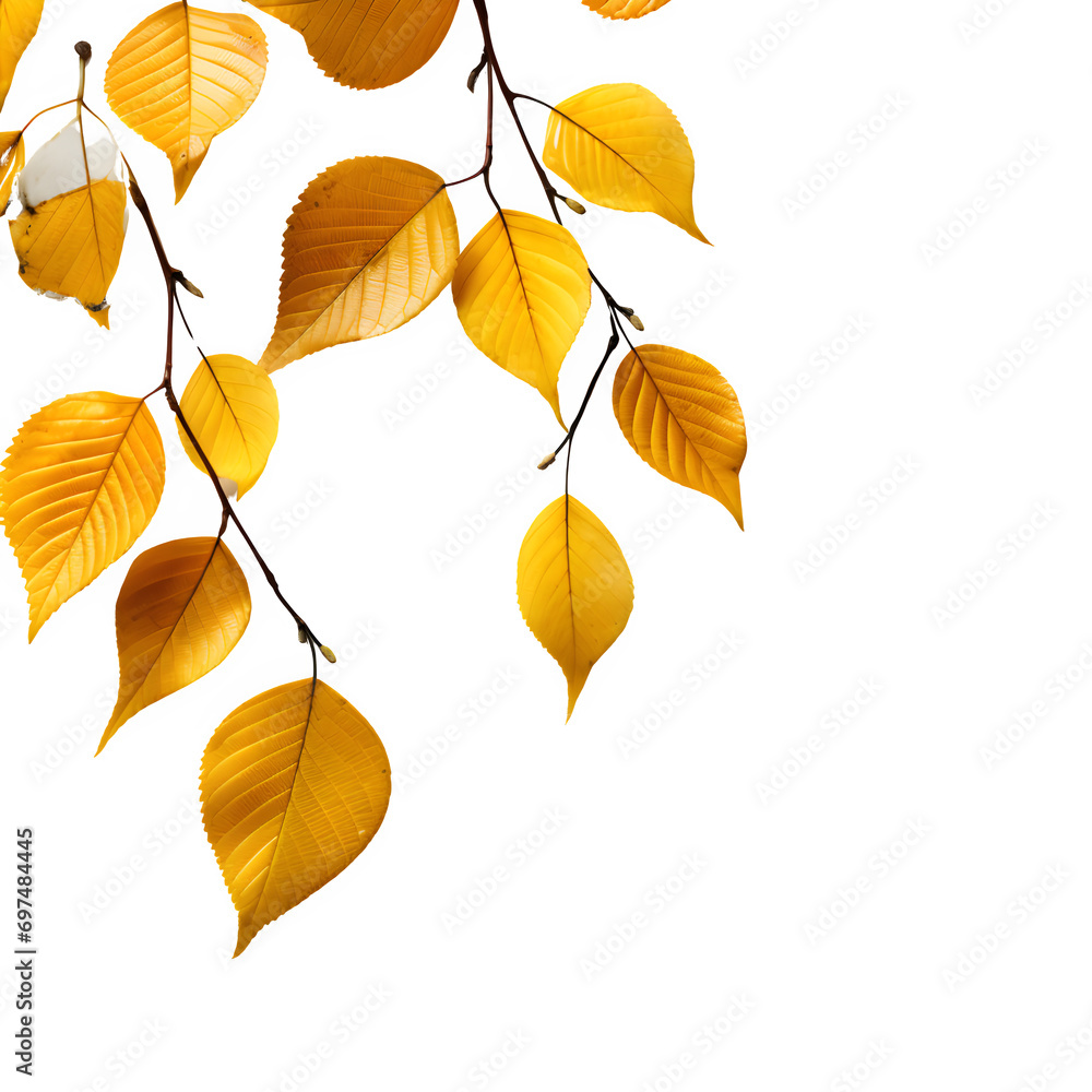Autumn leaves isolated on transparent background Generative AI