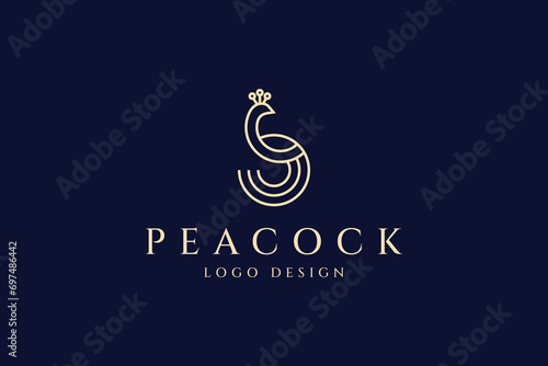Luxury Peacock illustration logo design template linear style vector