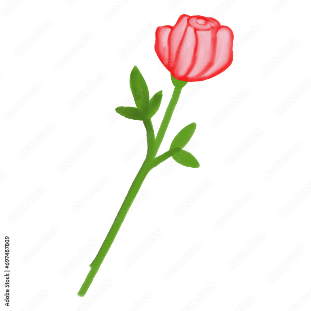 rose for valentine rose for valentine