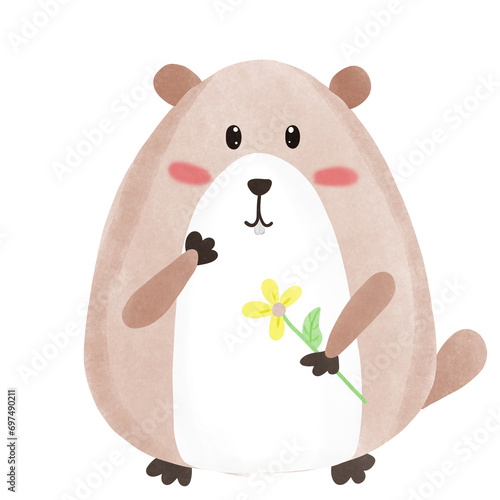 Groundhog