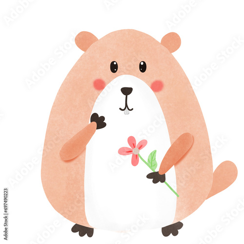 Groundhog