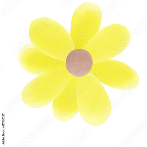 yellow flower isolated on white