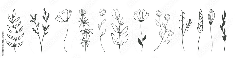 Set of field, forest flowers and leaves, herbal elements of hand drawn wild herbs. For stylized background decor, postcards, print, for editing, for modern original design addition.  - obrazy, fototapety, plakaty 