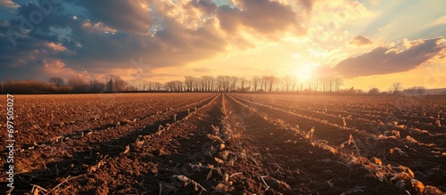 Fertile rural field landscape at sunset, before sowing. photo