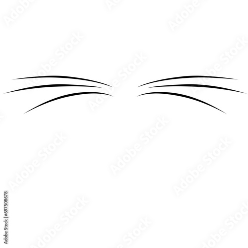 Cat Whiskers Icon