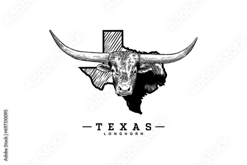 Texas longhorn vector illustration with map