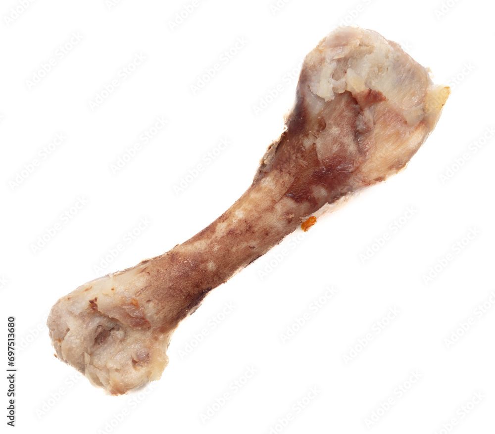 Chicken bone isolated on white background. Close-up