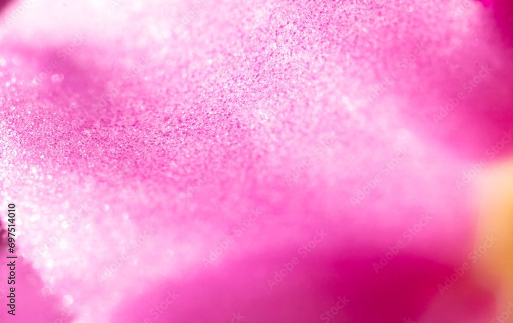 Closeup of a pink flower petal. Macro Closeup of a pink flower petal. Macro