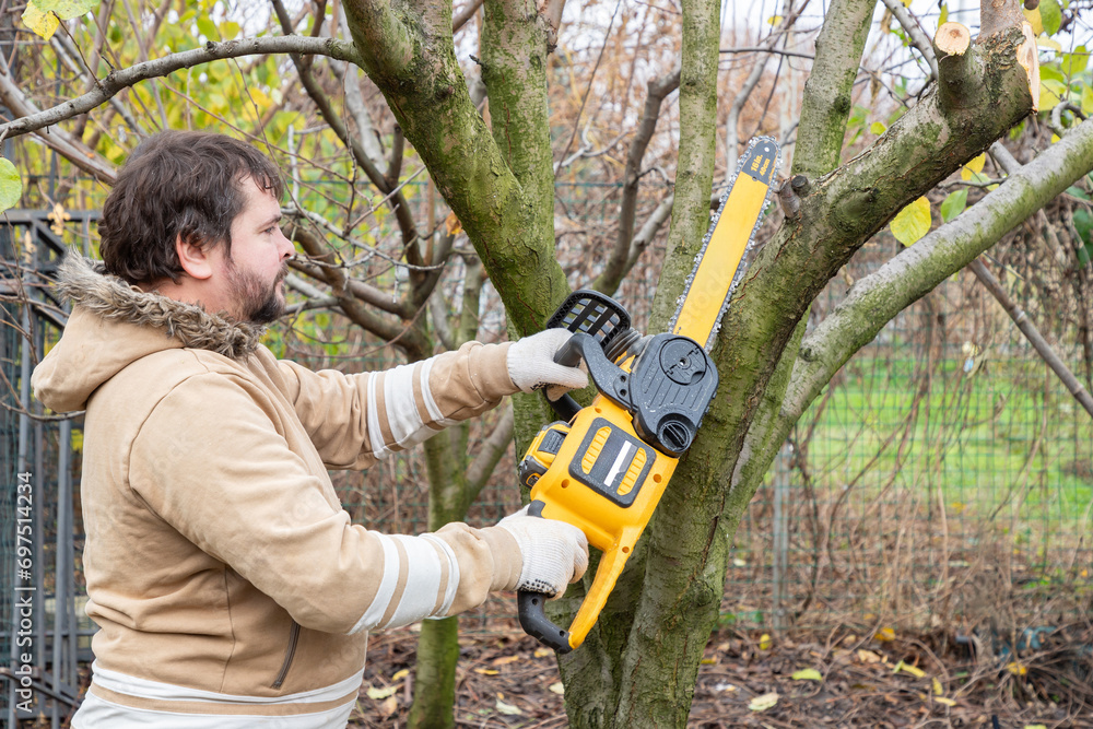 Obraz premium Professional gardener cuts branches on a tree, with using electric battery powered chain saw. Season pruning. Trimming trees with chainsaw in backyard home.