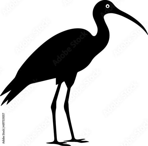 Ibis Flat Icon photo