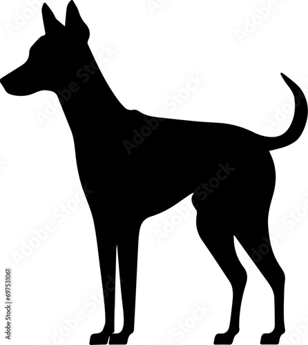 Ibizan Flat Icon