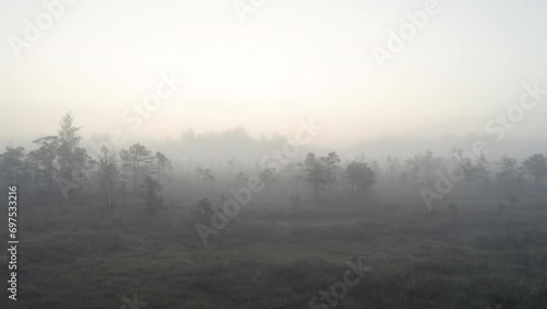 A cinematic aerial shot moving forward at a relatively slow speed over a swamp with some trees that are covered in thick fog moments before sunrise Nr.1 photo