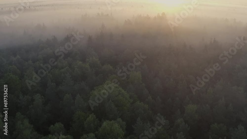 A cinematic aerial shot of a glorious morning with golden rays of light from the low rising sun casting long shadows of the treetops in the thick fog that covers the forest. Nr.2 photo