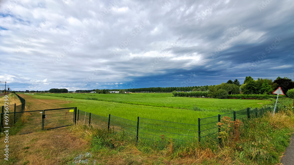 Residual peat area where the water board has stopped lowering the level in the Zuidplaspolder near Moordrecht Residual peat area where the water board has stopped lowering the level in the Zuidplaspolder near Moordrecht