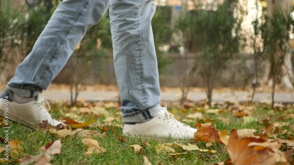 A side view of male legs in blue jeans and white sports shoes walking along a city lawn strewn with dry, yellowed autumn maple leaves. Walking through the city park in autumn through the foliage A side view of male legs in blue jeans and white sports shoes walking along a city lawn strewn with dry, yellowed autumn maple leaves. Walking through the city park in autumn through the foliage