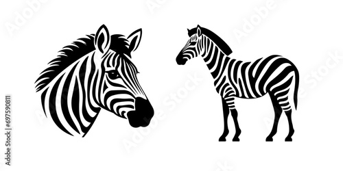 Zebra illustration  logo. Vector icon drawing on white background