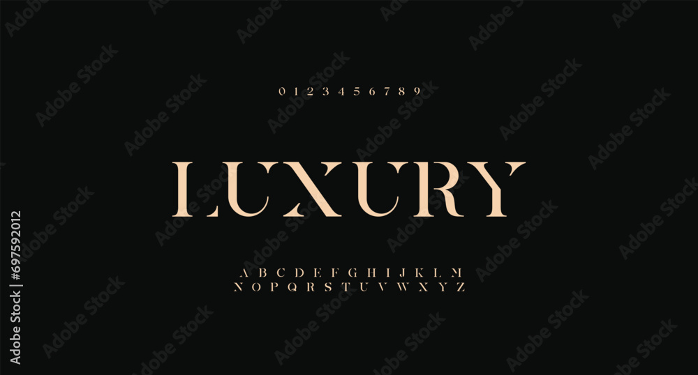  the luxury type elegant font and glamour alphabet vector set