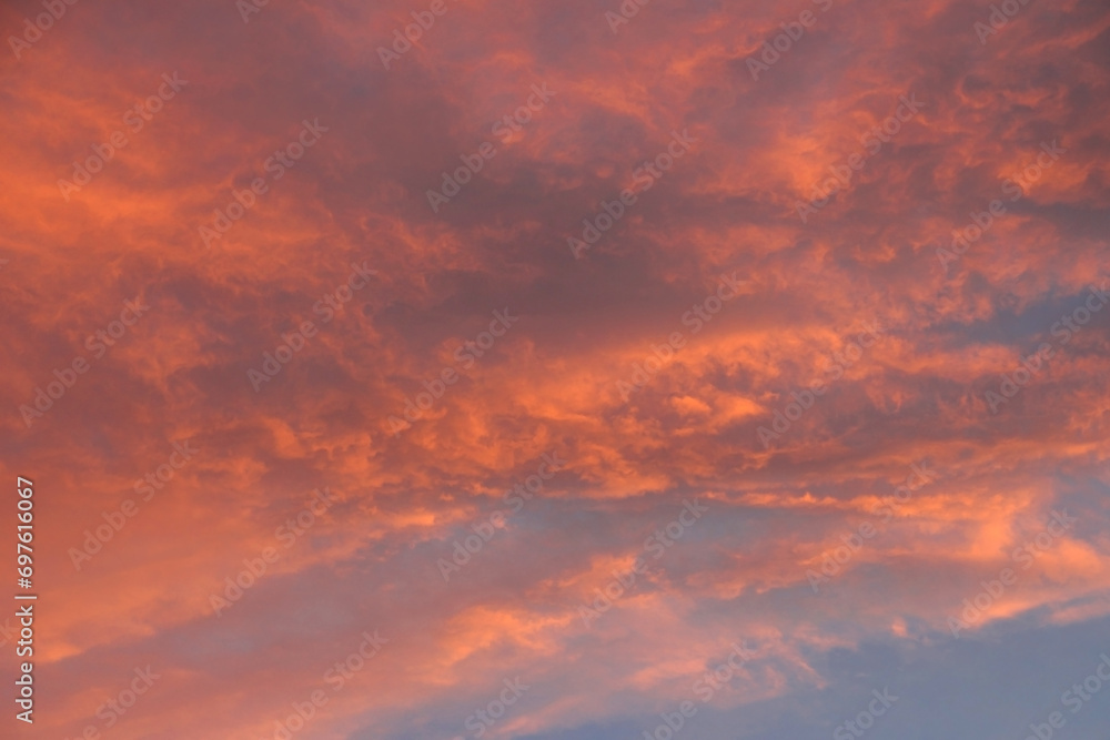 Photo of blue sky with pink clouds at sunset in winter