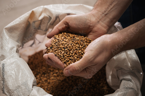 wheat malt in the hands of a male brewer in production photo